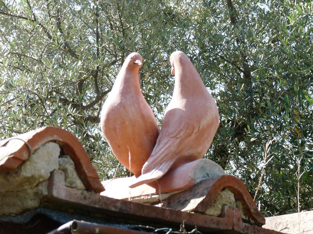 Villa Il Casalone Impruneta Exterior foto
